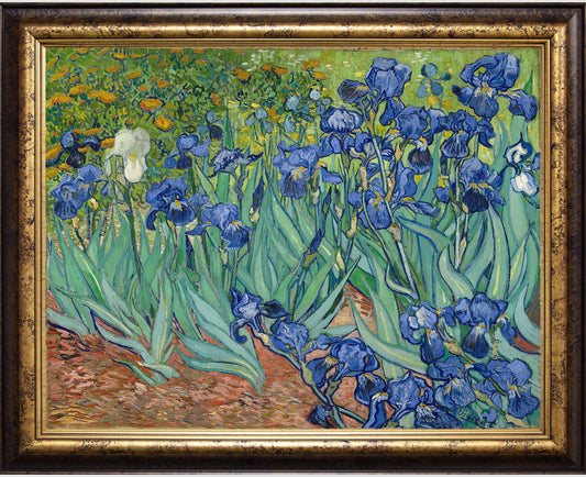 Irises