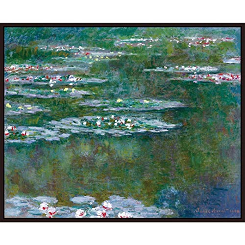 Water Lilies