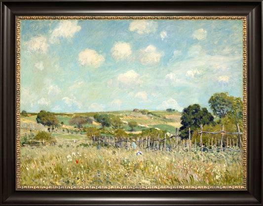 Meadow