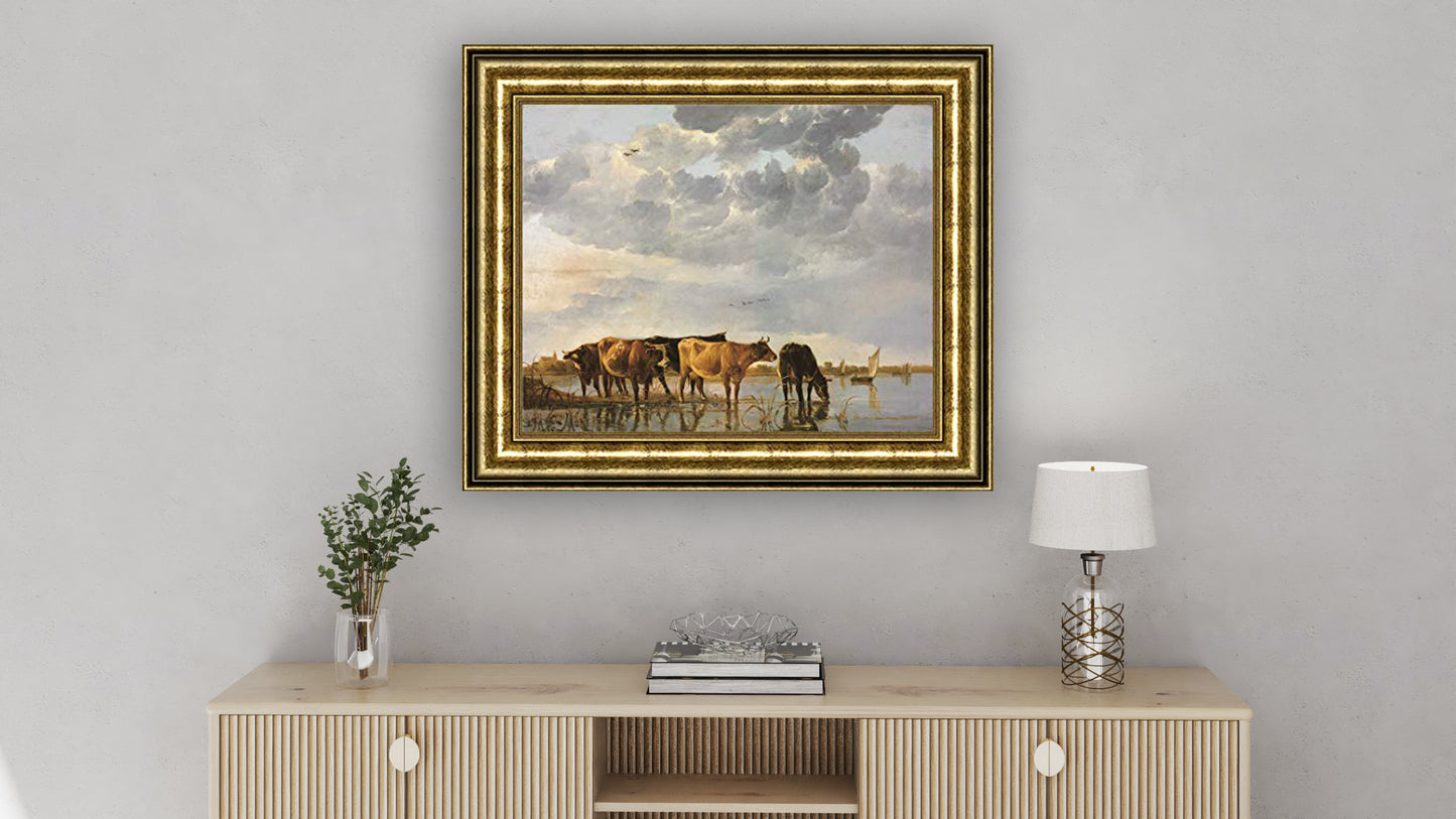 Cows in a River