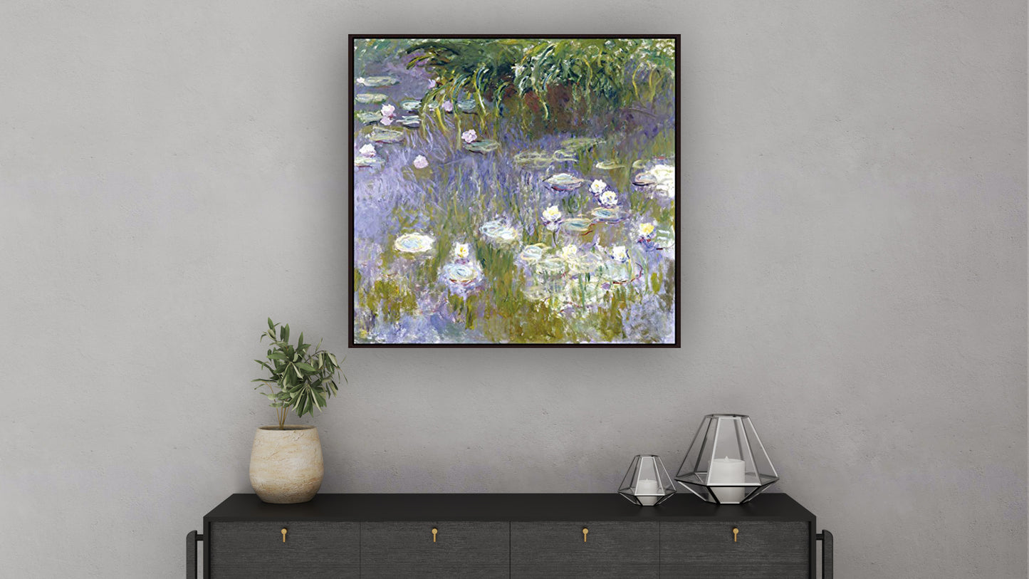 Water Lilies