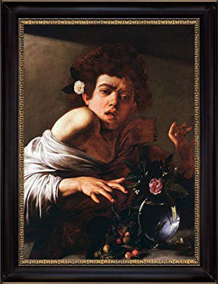 Boy Bitten
