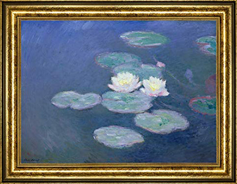 Water Lilies Evening Effect