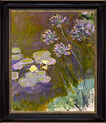 Water Lilies and Agapanthus