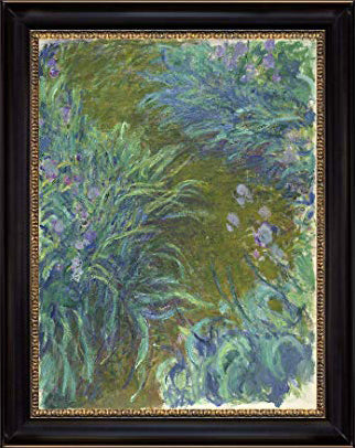 Irises
