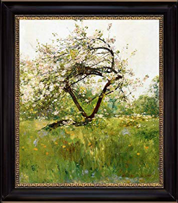 Peach Blossoms VilliersleBel
