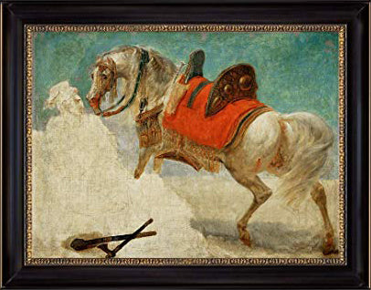 Etude de Cheval Arabe Harnache