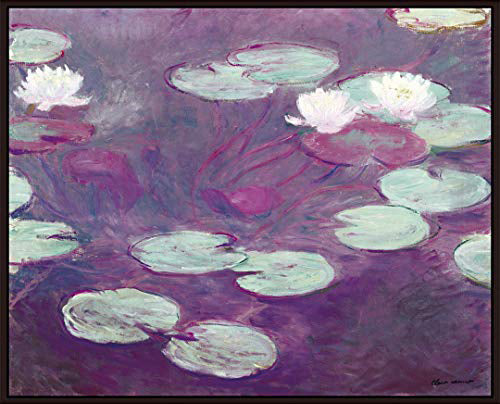 WaterLilies