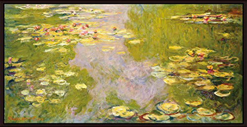 Water Lilies