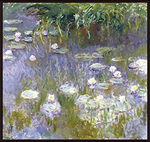 Water Lilies