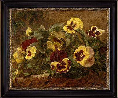 Pansies