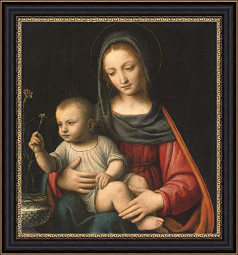 The Madonna of The Carnation