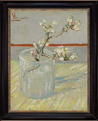 Sprig of Flowering Almond Blossom in a Glass