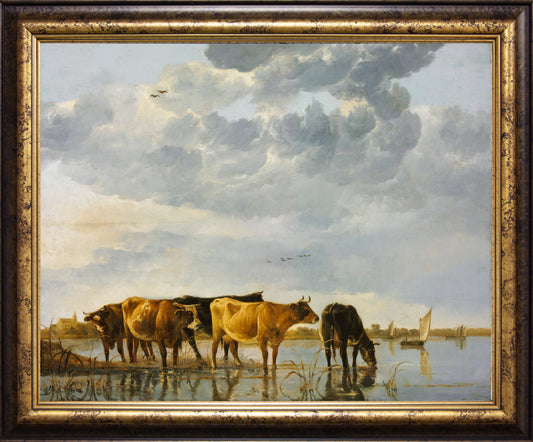 Cows in a River