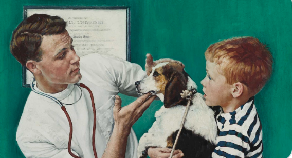 The Veterinarian
